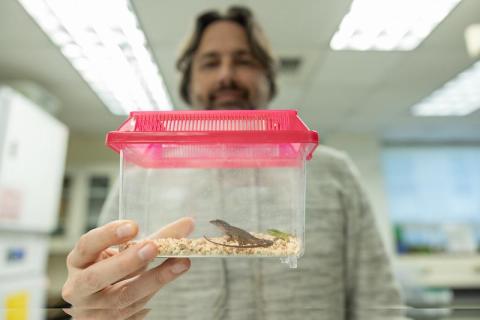 Man in lab coat holds a clear plastic container with a lizard inside.