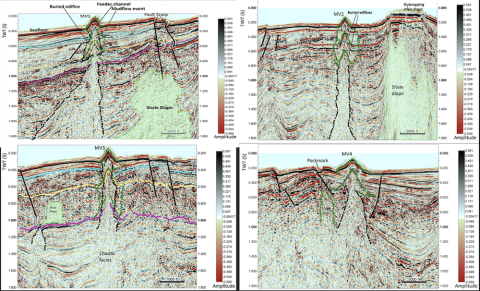 Four seismic cross-sections showing geological structures.