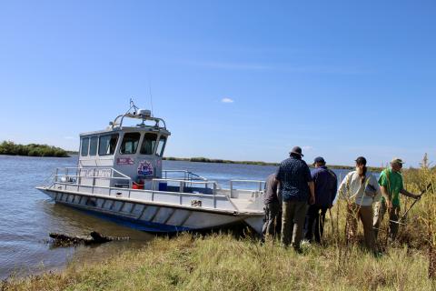 People disembark a boat on a grassy shore under a blue sky.