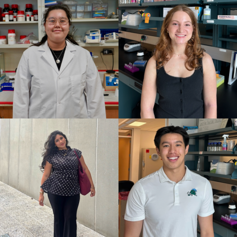 Four individuals in a collage of photos, some in lab coats.