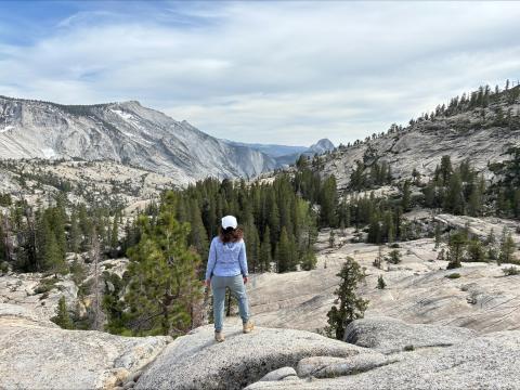 Woman stands on rocky outcrop overlooking a vast, forested mountain valley.