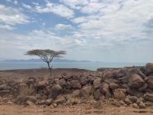 Lake Turkana