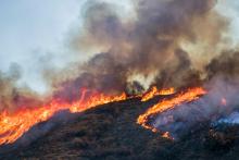 Wildfire burning on a hillside with smoke billowing into the sky.